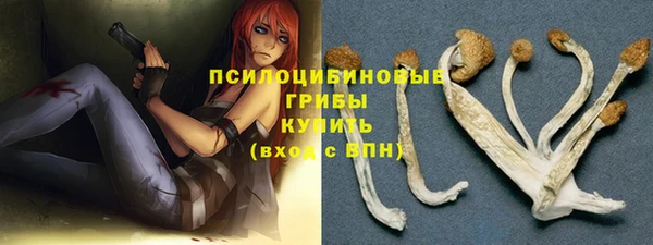 мет Дмитров