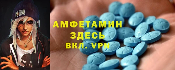 ECSTASY Алзамай