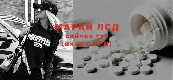 ECSTASY Алзамай