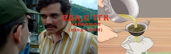 ECSTASY Алзамай