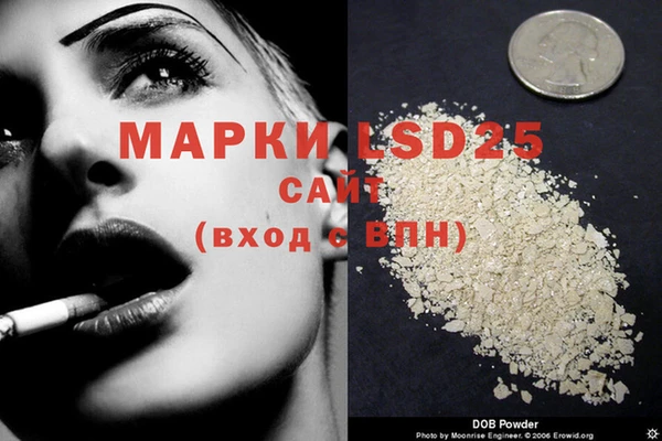 ECSTASY Алзамай
