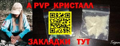 стаф Обнинск