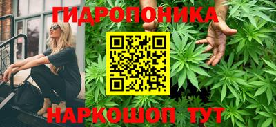 стаф Обнинск