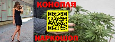 стаф Обнинск