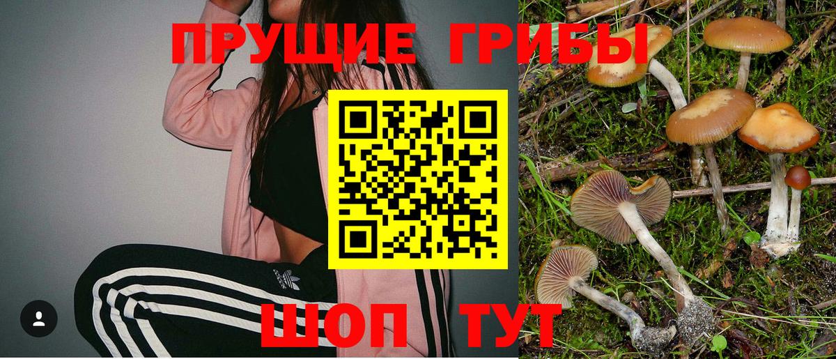 Галлюциногенные грибы Magic Shrooms Нефтекамск