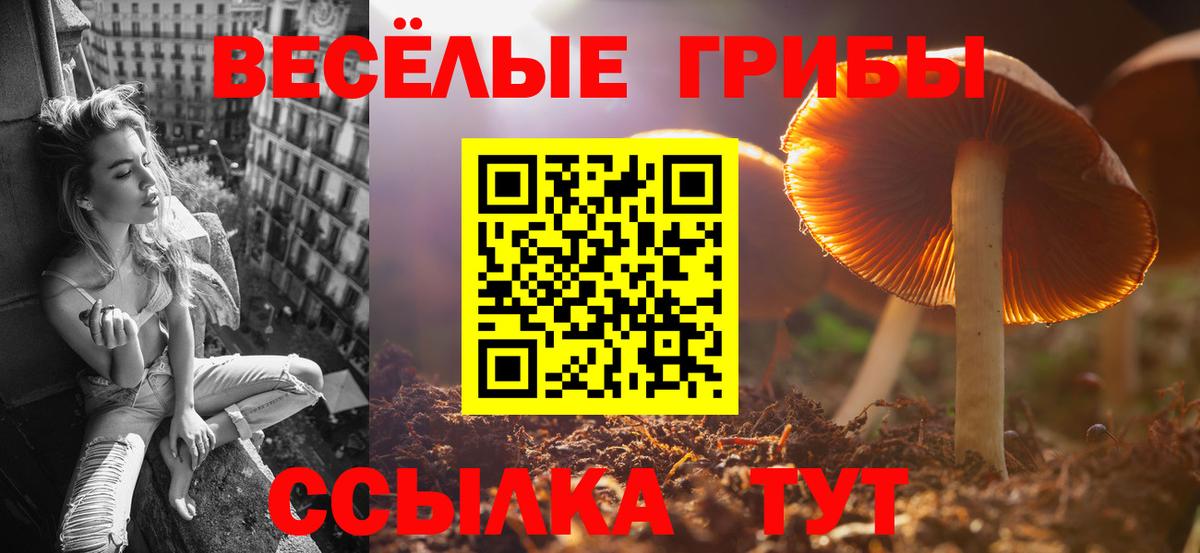где найти наркотики  Псилоцибиновые грибы прущие грибы  Вход с VPN  Нефтекамск  Галлюциногенные грибы GOLDEN TEACHER 