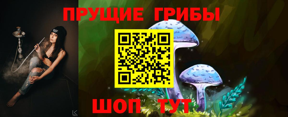 Псилоцибиновые грибы GOLDEN TEACHER Нефтекамск